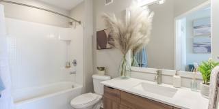 The Enclave at Tranquility Lake Apartments Gallery 13