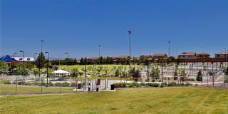 9702 Canyon Landing Avenue Gallery 58