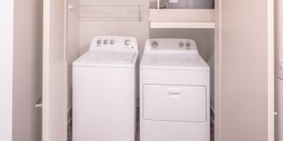 Magnolia at West Lemmon Gallery 35