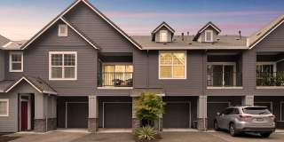 Summerlinn Gallery 50