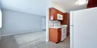 The Canopy Gallery 20