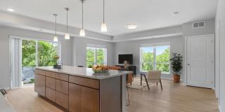 The Aurilla Gallery 13