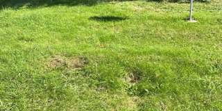 2 bed/1 bath house for rent Gallery 1