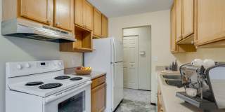 Chateau Montreal Gallery 5