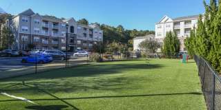 Henley at Mirror Lake Gallery 29