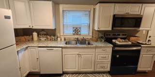 Walk to UF Campus! 4 bed/ 2 Bath walk/bike to Downtown or UF! Gallery 1