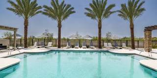 Amavi Aster Ridge Gallery 8