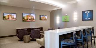 The Strand Gallery 24