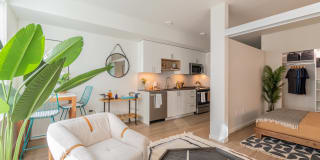 Modera River Trail Gallery 3