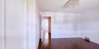 133 Seemans Lane Gallery 16