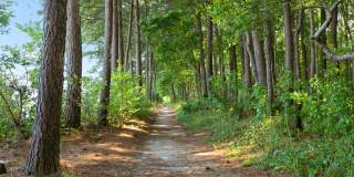 Spyglass at Cedar Cove Gallery 23