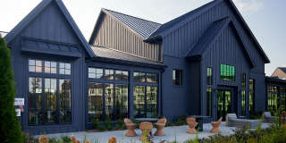 The Margot Gallery 58