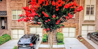 2043 Cobblestone Circle Northeast Gallery 1