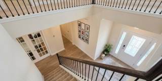 8196 Cape Fox Drive Gallery 10