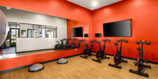 Acero at the Stadium Gallery 4