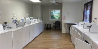 Tree Haven Apartments Gallery 11