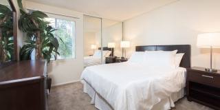 Tarzana Terraces Gallery 9