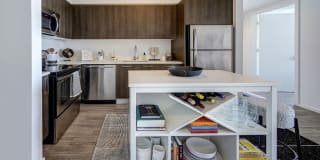 Alea Miami Gallery 5