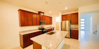 7389 ALPINE BUTTERFLY Lane Gallery 3