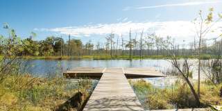 Mandarin Bay Gallery 26