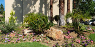 The Hills at Rancho Penasquitos Gallery 7