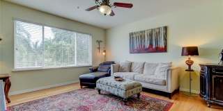 1575 PINELLAS BAYWAY WAY S Gallery 24