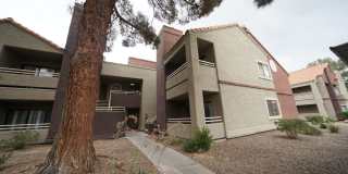 SHOWINGS AVAILABLE NOW SHOWINGS AVAILABLE NOW Gallery 1