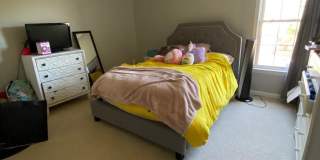 15839 FOURMILE CREEK Court 15839 FOURMILE CREEK Court Gallery 13