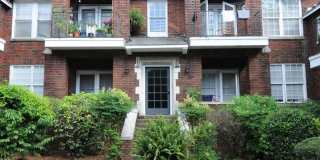 ALTA VISTA Gallery 1