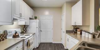 Magnolia at Milton Gallery 37