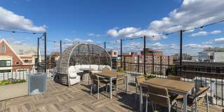 Belvedere Gallery 19