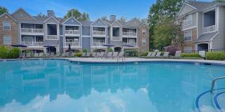 Piedmont at Ivy Meadows Gallery 1