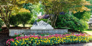 Bluffs at Mountain Park Gallery 1