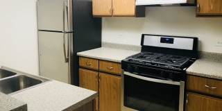 Bay Laurel Gallery 3