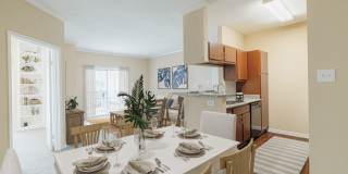 Pirates Landing Gallery 6