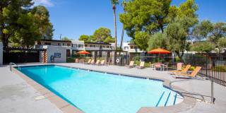 Icon on Pima Gallery 2