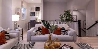 7709 DIGNITY Way Gallery 13