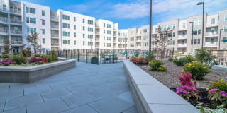 Vida Kannapolis Gallery 26