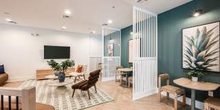 The Village at Lake Lily Gallery 17