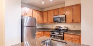 The Veridian Gallery 58