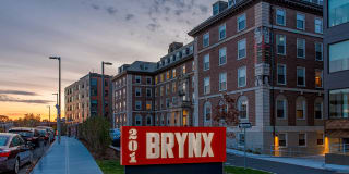 The Brynx Gallery 21