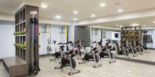 The Brand Gallery 46