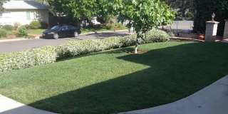 510 Tarento Gallery 19