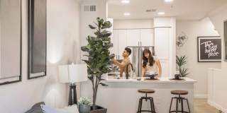 Haven at P83 Gallery 3