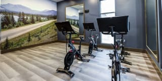 Icon Apartment Homes at Ferguson Farm Gallery 26