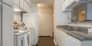 Pear Orchard Gallery 9