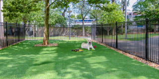 Emerson Place Gallery 40