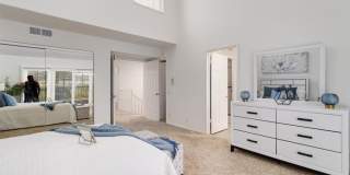 19381 Maidstone Gallery 14