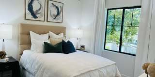 Elevation Luxury Apartments Gallery 4