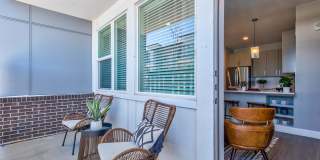 Proximo at Pena Station Gallery 107